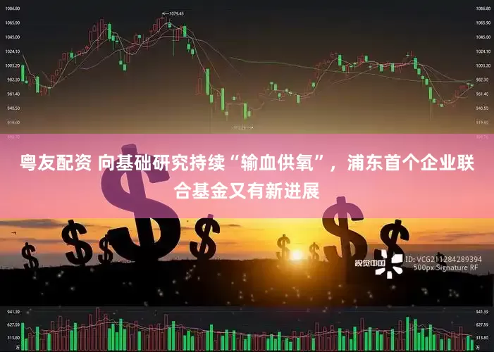 粤友配资 向基础研究持续“输血供氧”，浦东首个企业联合基金又有新进展